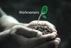 Werknemers